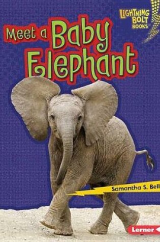 Cover of Meet a Baby Elephant