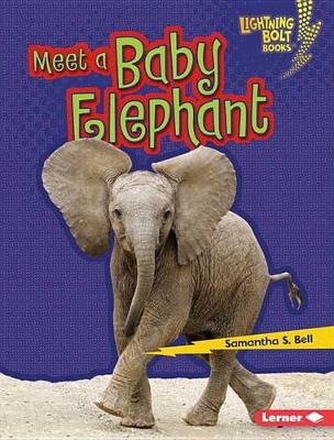 Cover of Meet a Baby Elephant