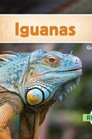 Cover of Iguanas (Iguanas)