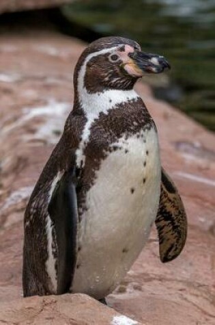 Cover of Humboldt Penguin Journal