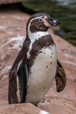 Book cover for Humboldt Penguin Journal