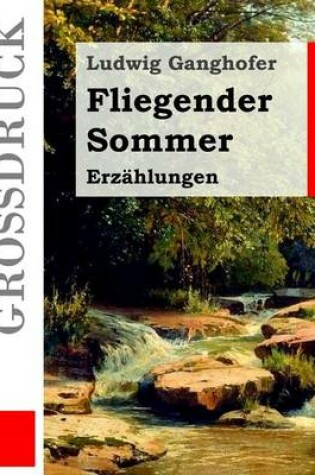 Cover of Fliegender Sommer (Grossdruck)