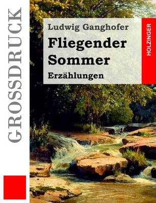 Book cover for Fliegender Sommer (Grossdruck)