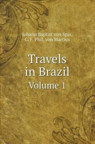 Cover of Travels in Brazil Volume 1