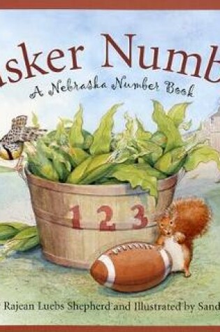 Cover of Husker Numbers