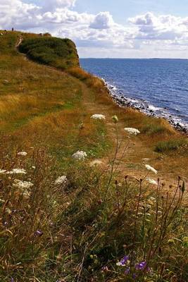 Book cover for Fyns Hoved on the Danish Coast Journal