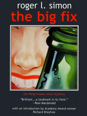 Book cover for The Big Fix