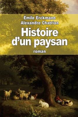 Book cover for Histoire d'un paysan