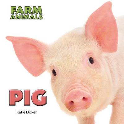 Cover of Pig