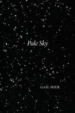 Cover of Pale Sky