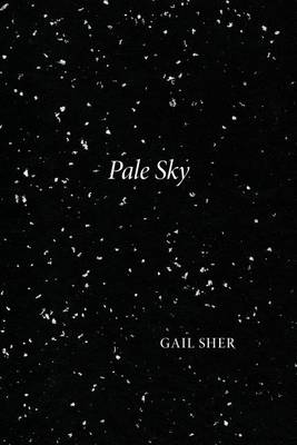 Book cover for Pale Sky