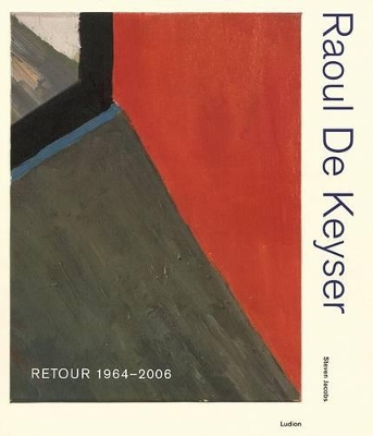 Book cover for Raoul de Keyser