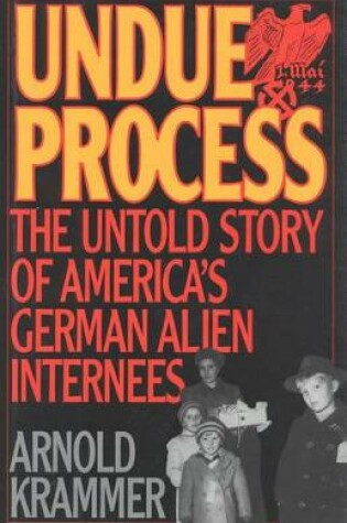 Cover of Undue Process