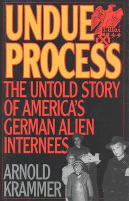 Book cover for Undue Process