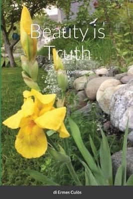 Book cover for Beauty is Truth