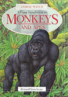 Book cover for A Visual Introduction to Monkeys and Apes