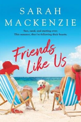 Cover of Friends Like Us