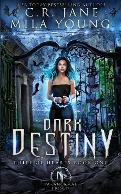 Book cover for Dark Destiny