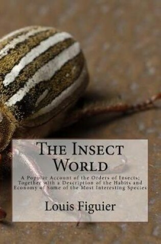 Cover of The Insect World