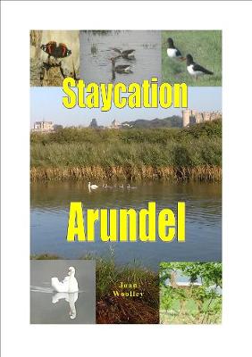 Book cover for Staycation Arundel
