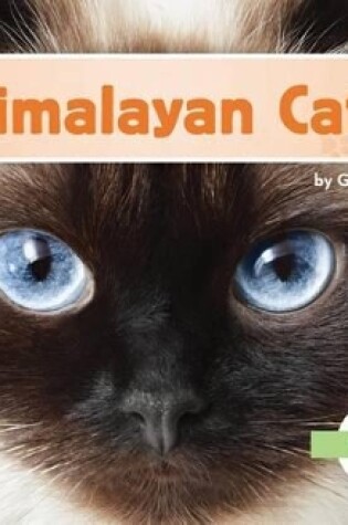 Cover of Himalayan Cats