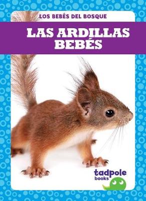 Cover of Las Ardillas Bebes (Squirrel Kits)