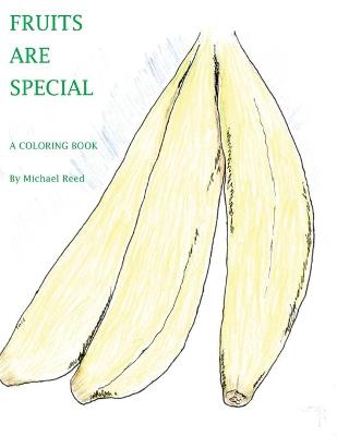 Book cover for Fruits are Special
