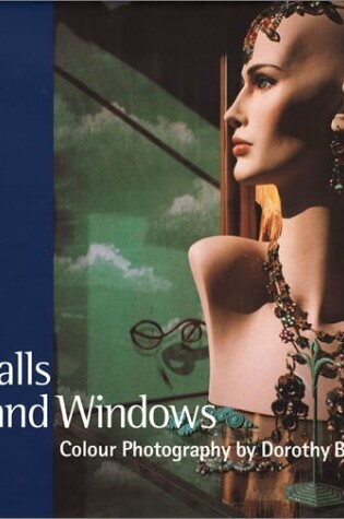 Cover of Walls and Windows