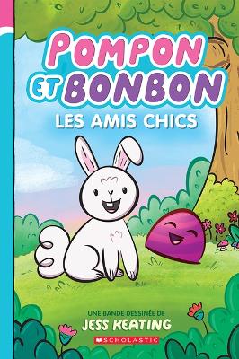 Book cover for Pompon Et Bonbon N° 1 - Les Amis Chics