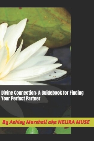 Cover of Divine Connection