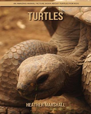 Book cover for Turtles