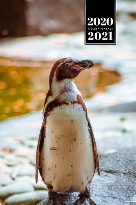 Book cover for Penguin Puffin Antarctica Seabird Week Planner Weekly Organizer Calendar 2020 / 2021 - Turned Head