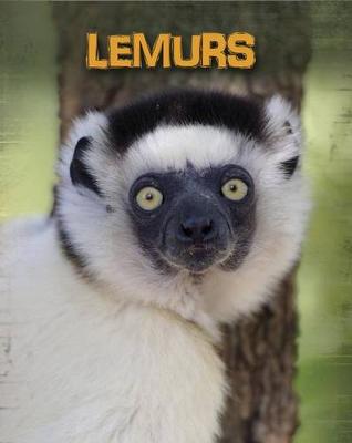 Book cover for Lemurs (Living in the Wild: Primates)