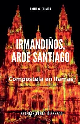 Book cover for Irmandiños, arde Santiago