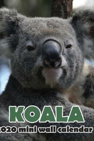 Cover of Koala 2020 Mini Wall Calendar