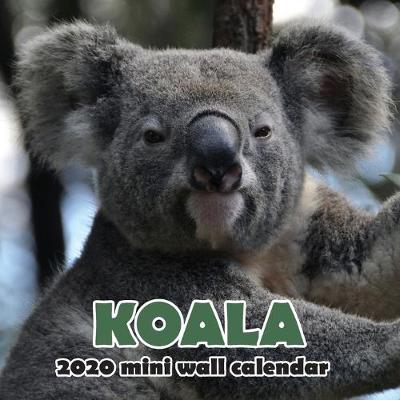 Book cover for Koala 2020 Mini Wall Calendar