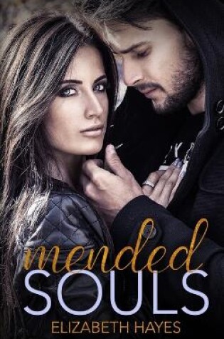 Cover of Mended Souls