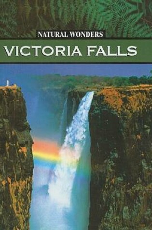 Cover of Victoria Falls