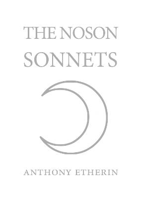 Book cover for The Noson Sonnets