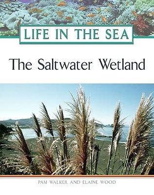 Book cover for The Saltwater Wetland