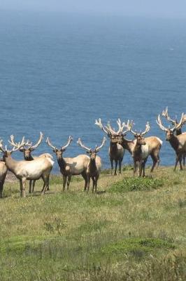 Book cover for Tule Elk Herd on the California Coast Journal