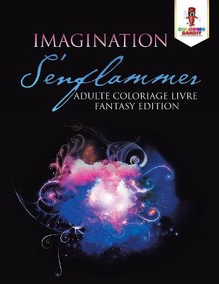 Book cover for Imagination S'enflammer