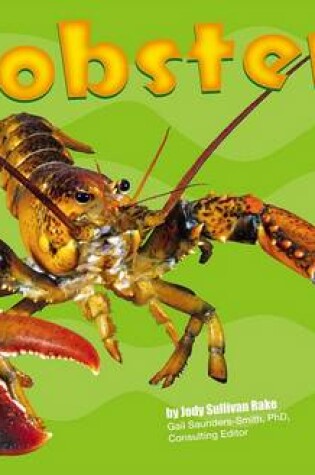Cover of Lobsters
