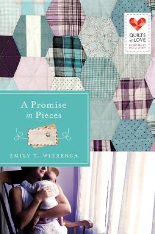 Cover of A Promise in Pieces
