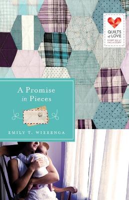 Book cover for A Promise in Pieces