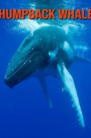 Cover of Humpback Whale