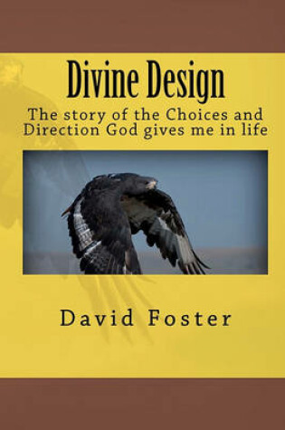 Cover of Divine Design