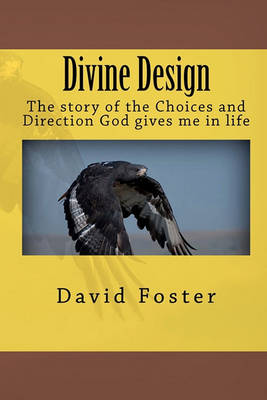 Book cover for Divine Design