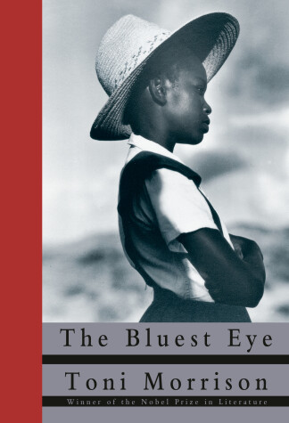 Book cover for The Bluest Eye