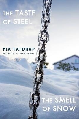 Book cover for The Taste of Steel • The Smell of Snow